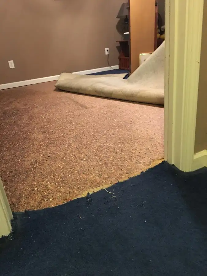 Carpet pad removal revealing water damage during Drying & Dehumidification in Belvedere