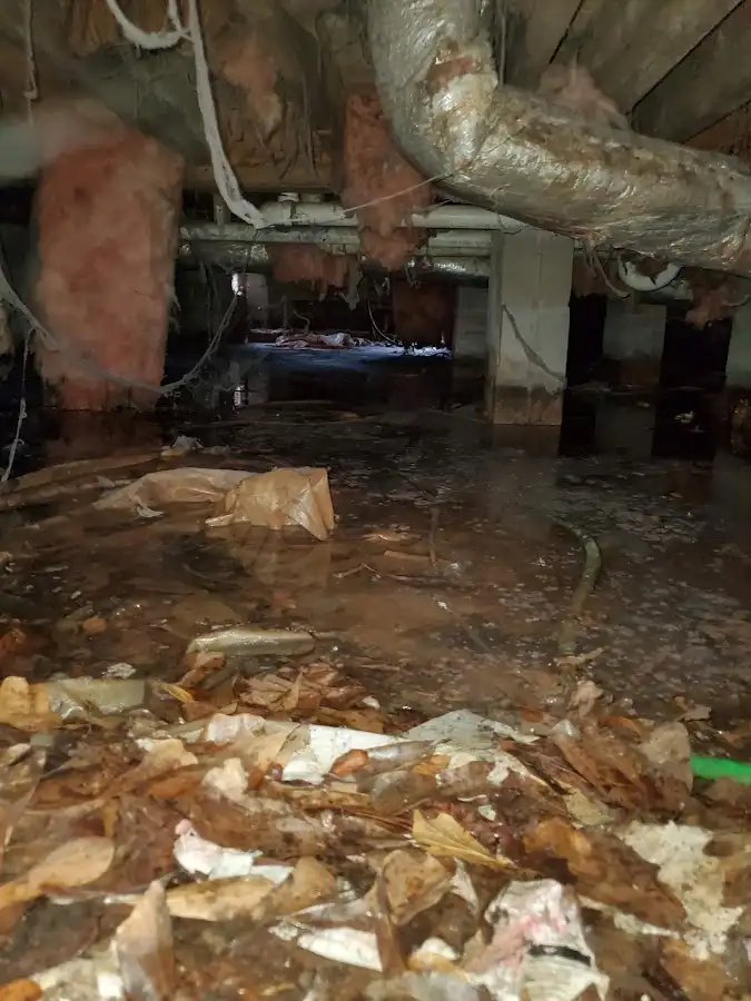Crawl space flood assessment for Commercial Water Damage Restoration in Belvedere