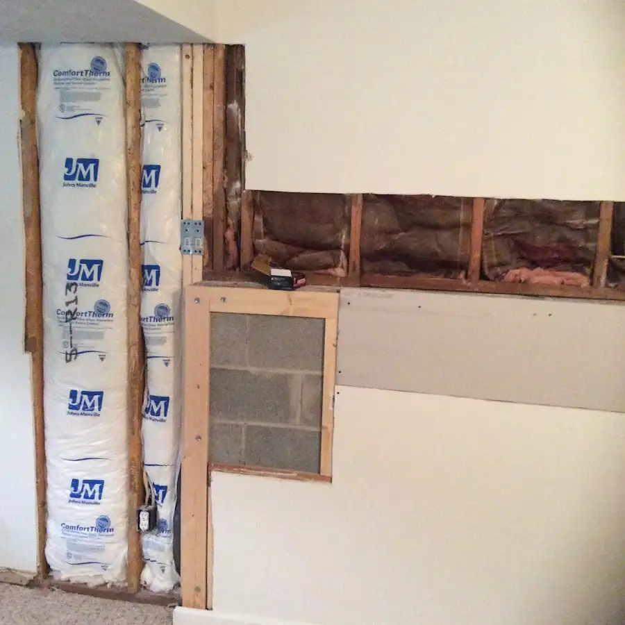 Wall insulation replacement during Odor Removal & Deodorization in Belvedere